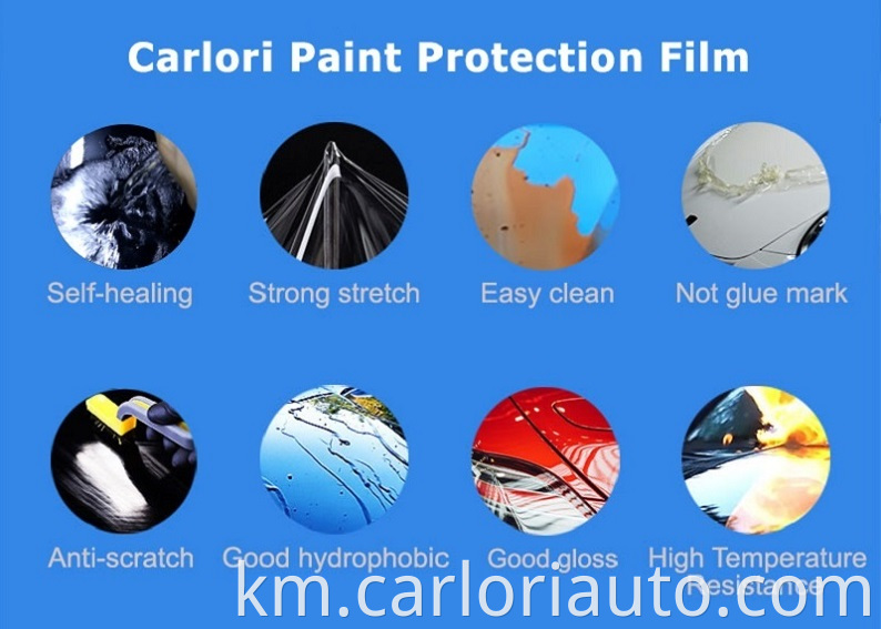 Paint Protection Films Market By Material
